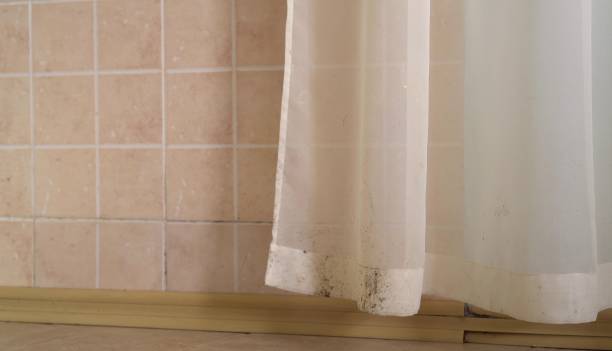 Dehumidification Services in Social Circle, GA