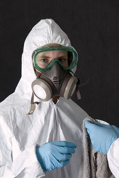 Reliable Social Circle, GA Mold Removal Solutions